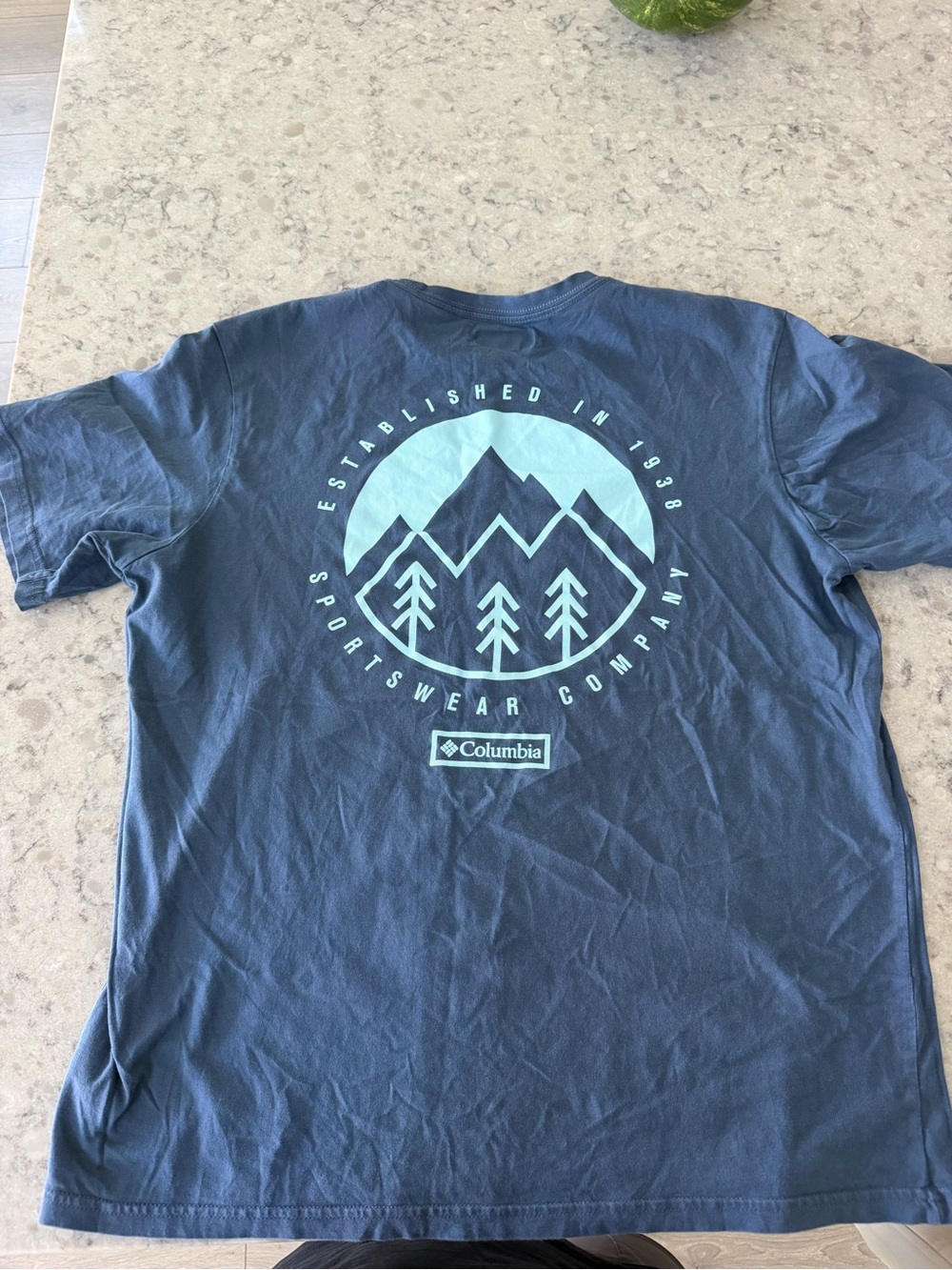 Columbia Men’s Navy Short-Sleeve Tee with Light Blue Mountain Graphic